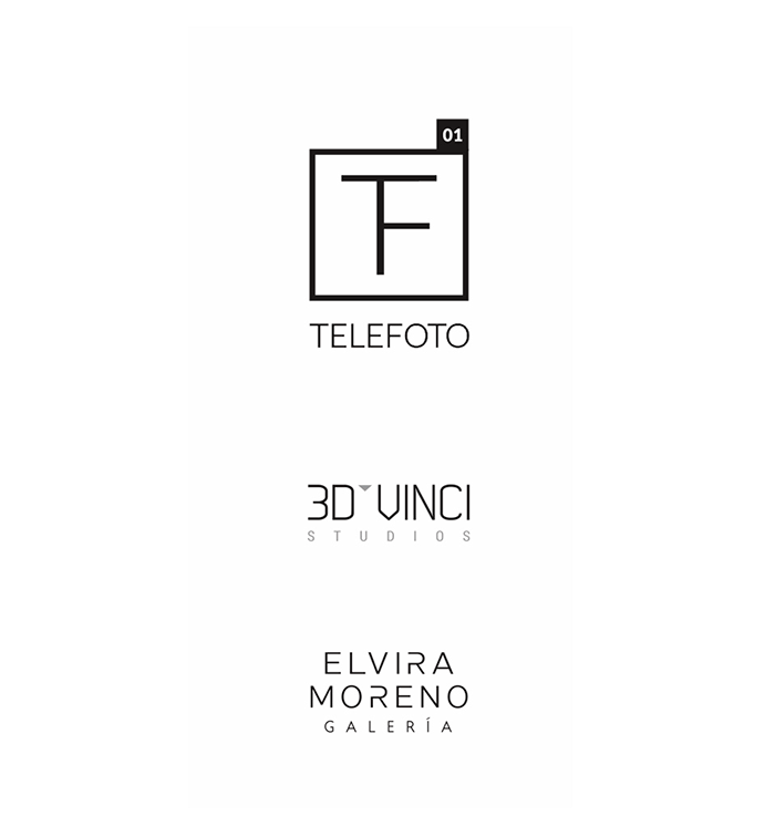 Logos telefoto, 3DVinci y galeria Elvira Moreno